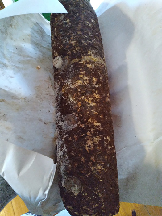 shiitake-log-mushroom-log-cultivation